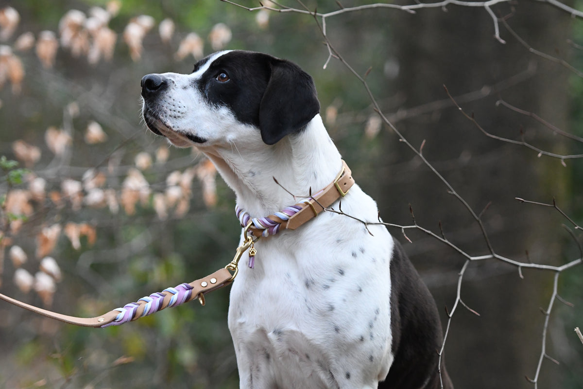 „Balu"