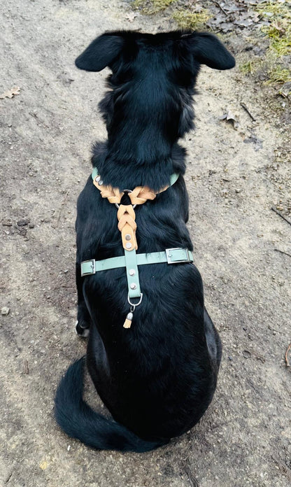 Geschirr Leder x Biothane