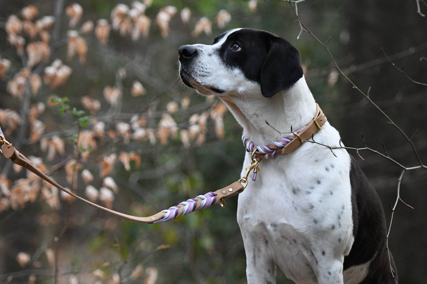 „Balu"