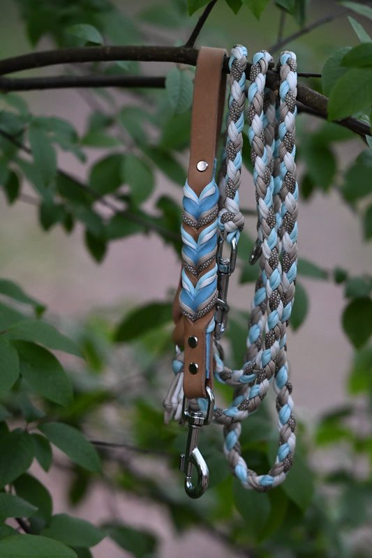 Leine x Paracord