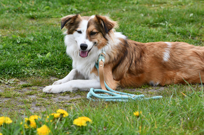 Leine „Milo“
