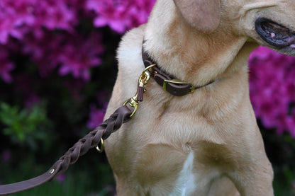 Leine „Classic Brown“