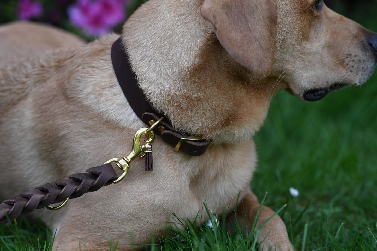 Classic Halsband