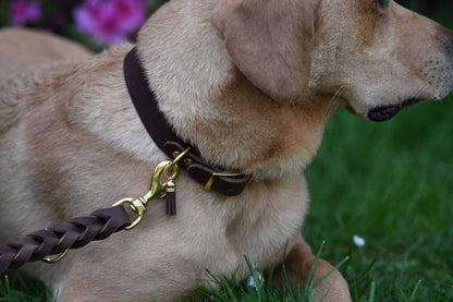 Classic Halsband