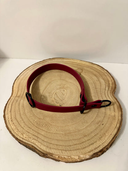 Biothane Halsband
