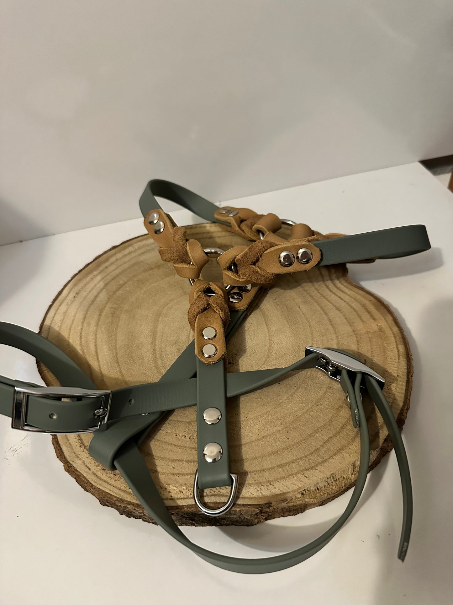 Geschirr Leder x Biothane