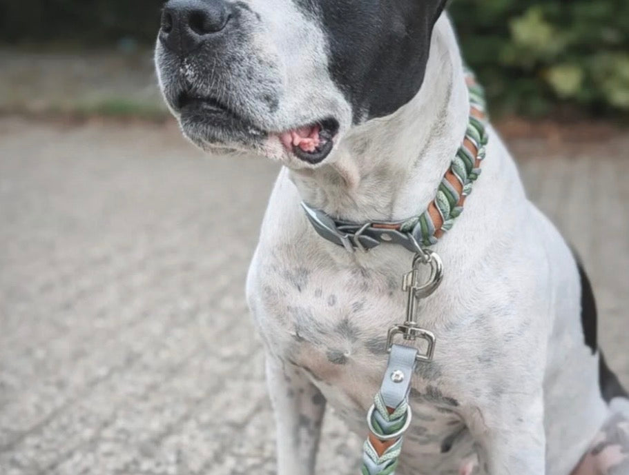 Biothaneleine Wave